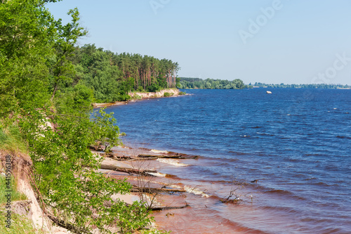 Steep shore of big reservoir overgrown with forest in summer
