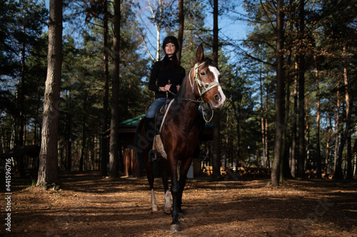 Beautiful Girl Sitting on a Horse Outdoors