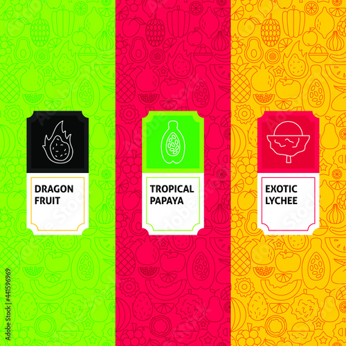 Tropical Fruit Package Labels. Vector Illustration of Outline Design.