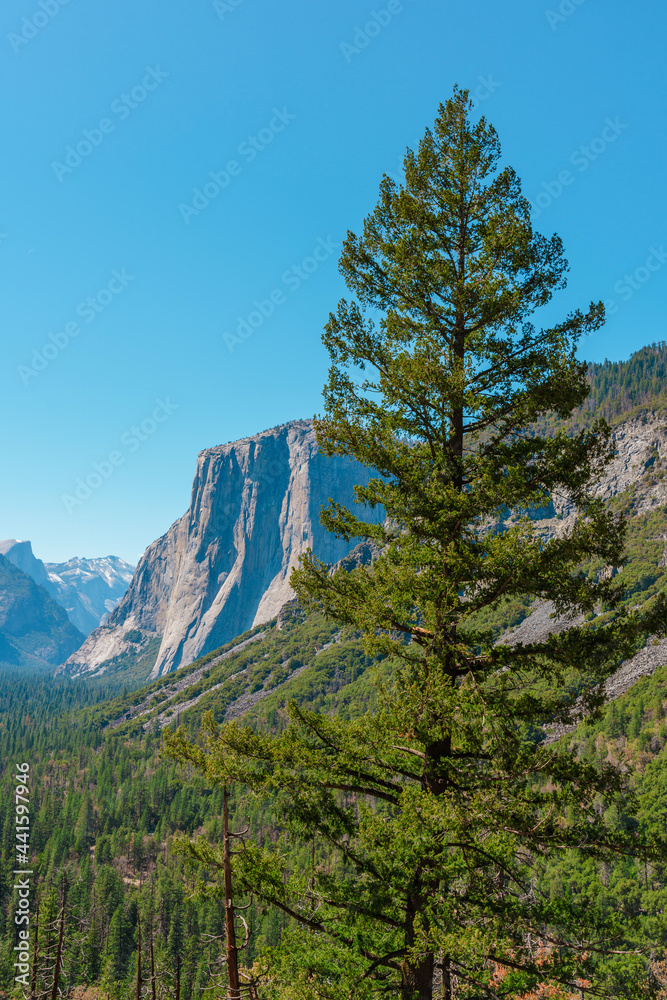 Yosemite National Park, a beautiful summer landscape with mountains