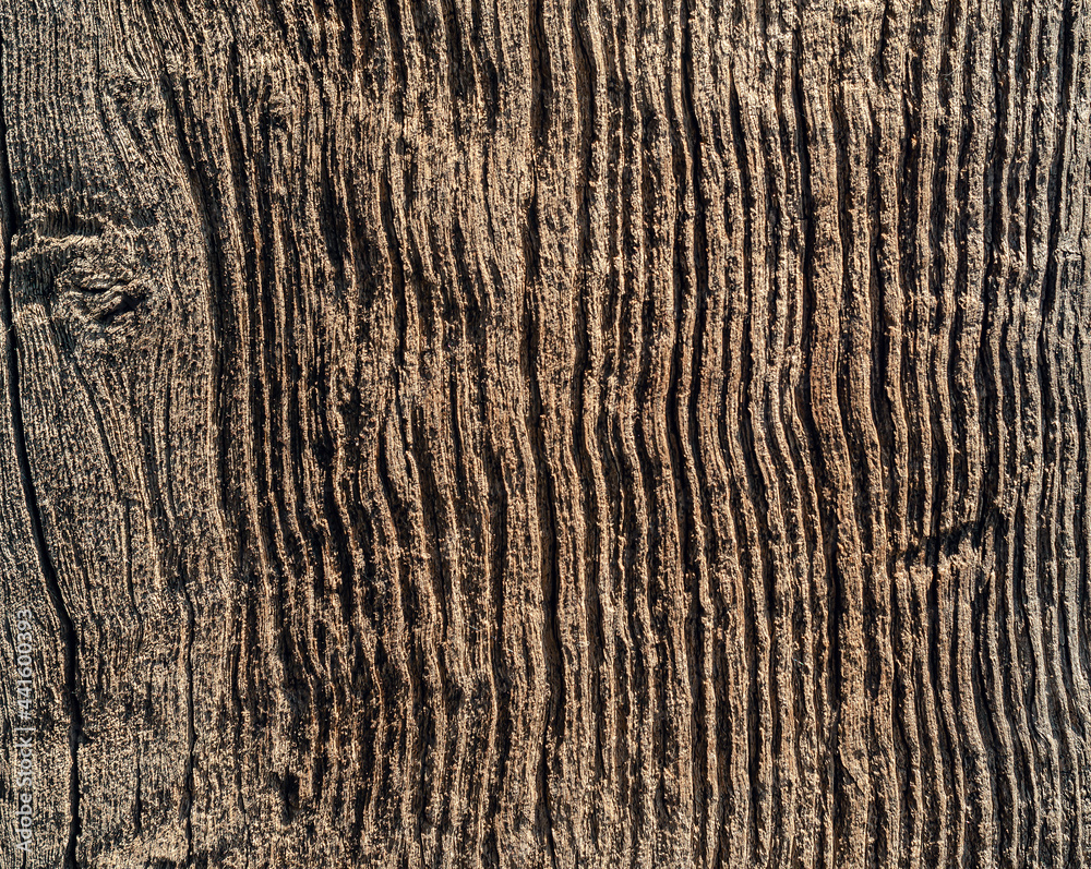 background of old dried boards treated wood background of old dried boards treated wood