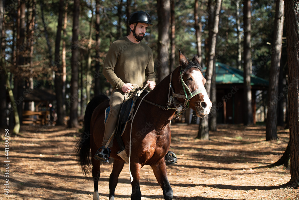 Young Man Wearing Helmet and Riding Horse Young Man Wearing Helmet and Riding Horse