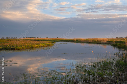 Sunset scene at swamps and wetlands of Big Creek National Wildlife Area near Long Point Provincial Park, Lake Erie shore.