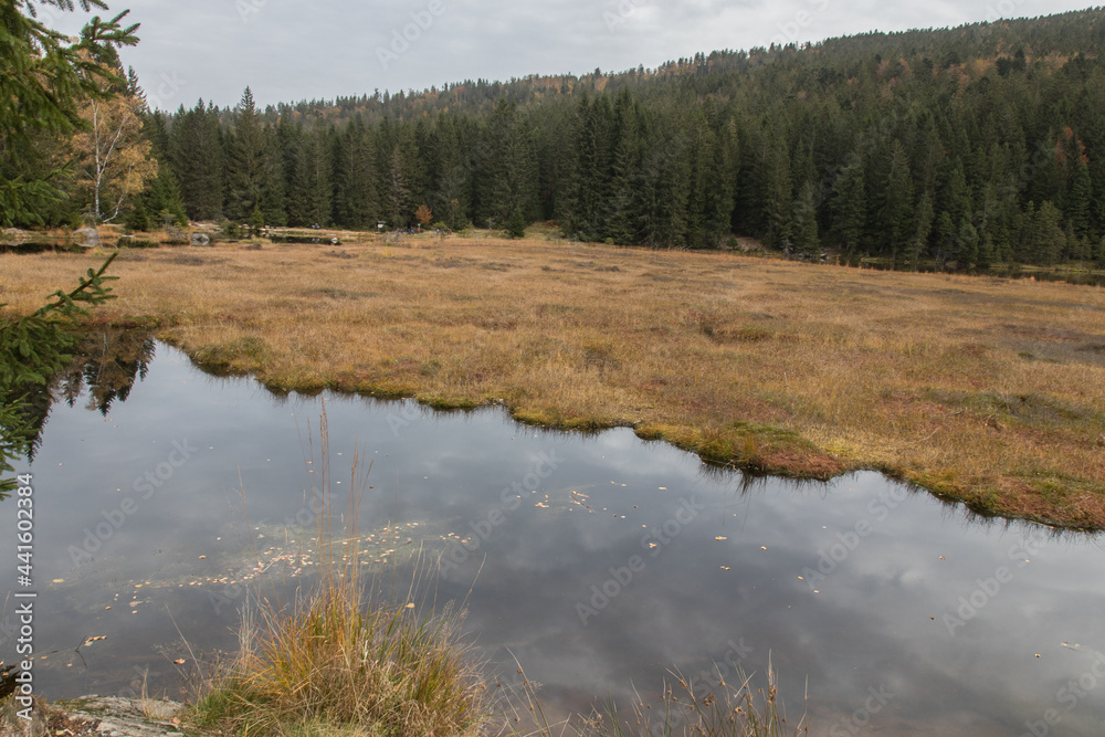 The lake arber The lake arber