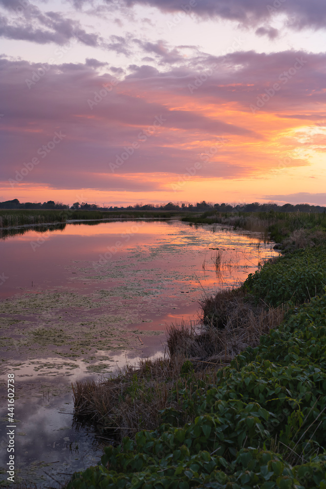 Sunset scene at swamps and wetlands of Big Creek National Wildlife Area near Long Point Provincial Park, Lake Erie shore.