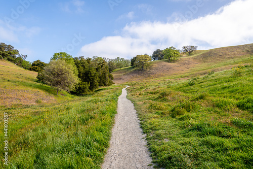 Sycamore Valley Open Space Trails photo