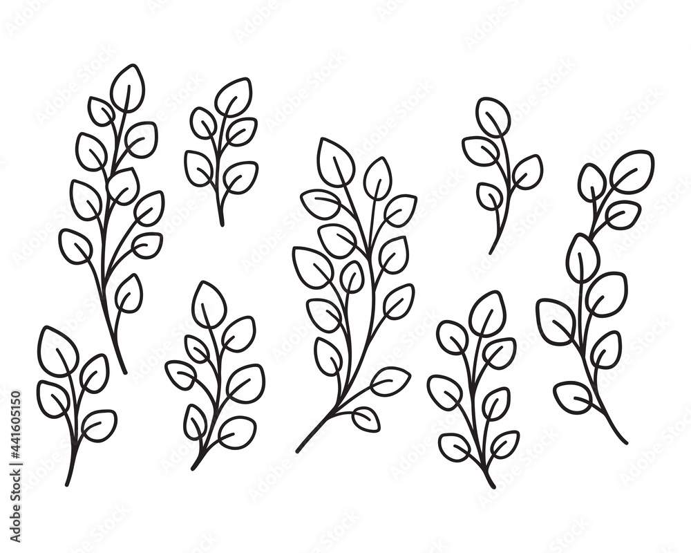 Hand drawn eucalyptus branches and leaves. Graphic floral elements. Hand drawn eucalyptus branches and leaves. Graphic floral elements.