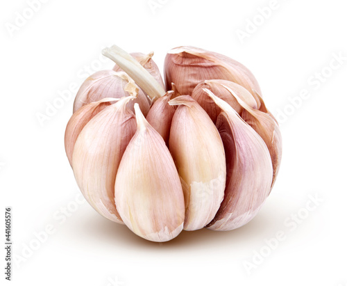 Young heads of garlic isolated on white background