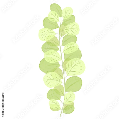 an isolated image of a tree branch with green leaves on a white background. Natural illustration. Digital imitation of watercolors. Design of wallpaper, fabrics, textiles, packaging, stickers.
