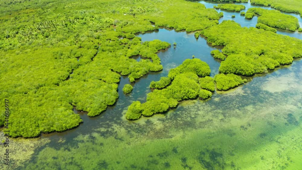 Tropical landscape with mangrove forest in wetland from above on Siargao island, Philippines. Tropical landscape with mangrove forest in wetland from above on Siargao island, Philippines.