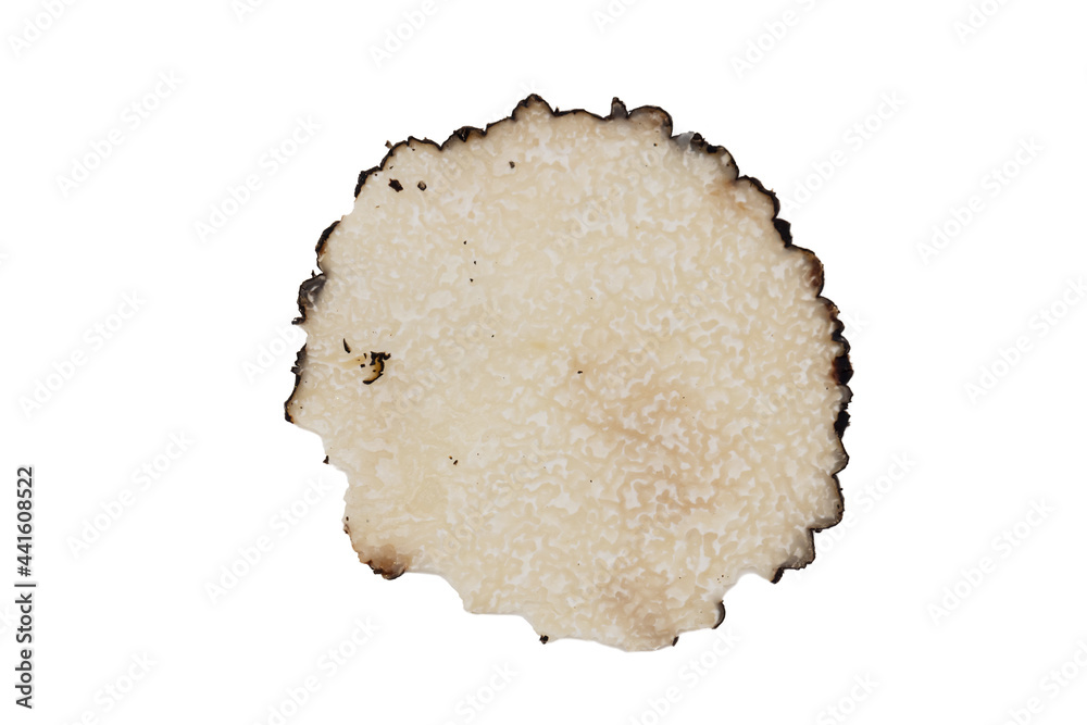 Sliced Truffle Texture on White Background
