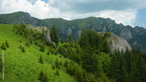 The sharp crests of Ciucas Mountains rising above the green coniferous forests. The calcareous cliffs are sharp and steep. Summer season  Carpathia  Romania.