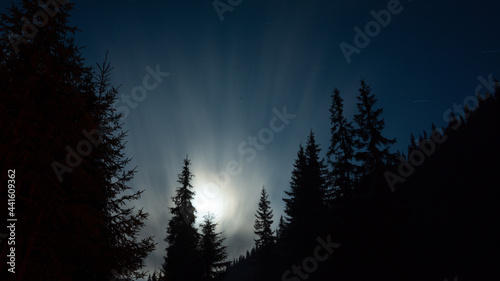 Moon rising above a coniferous forest in the night sky. Hazy atmosphere. Carpathia  Romania.