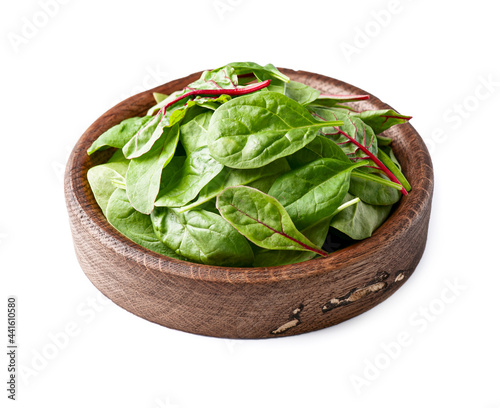 Mix salad of spinach and mangold leaves photo