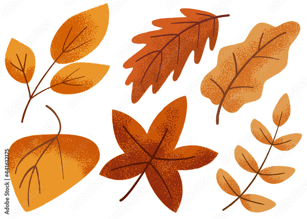 autumn leaves with texture set, isolated vector illustration
