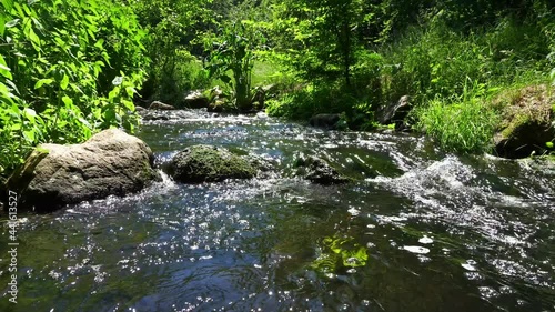 Bach im Sommer - Bachlauf mit Steine und klarem Wasser