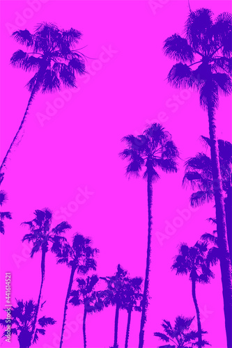 Silhouettes of palm trees  