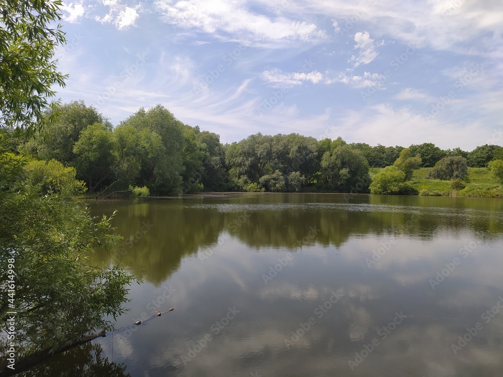 Obraz premium lake in the forest