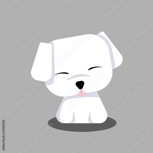 Cute Maltese White Puppy Cartoon Vector, for design, banner, logo photo