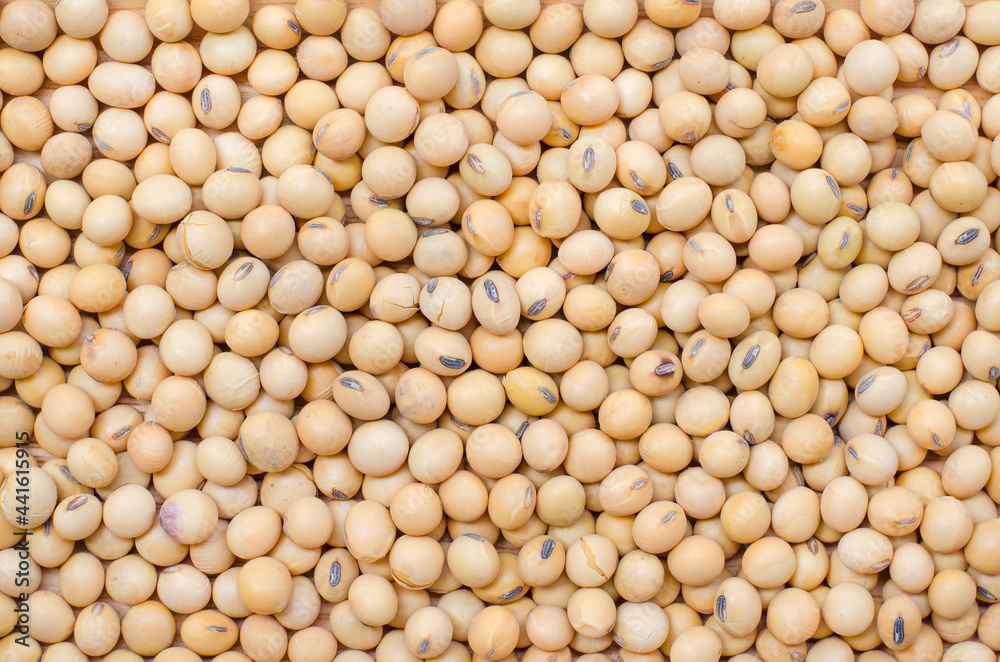 Dry organic soybean seed background, for clean food ingredient or agricultural product concept Dry organic soybean seed background, for clean food ingredient or agricultural product concept