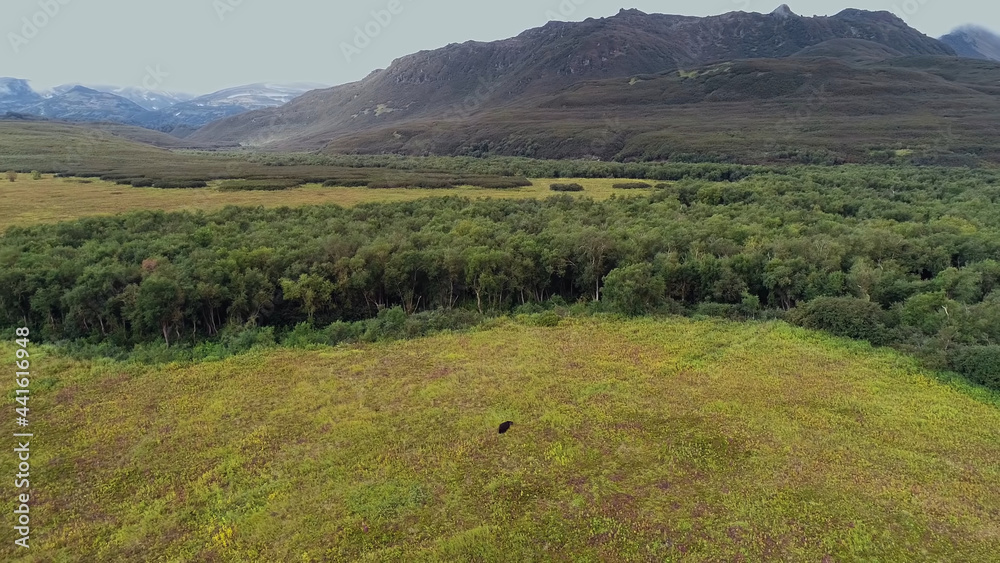 Obraz premium landscape in the mountains