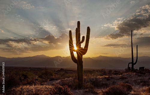 Lone Saguaro Cactus With Sun Rising Over Mountains In Arizona © Ray Redstone