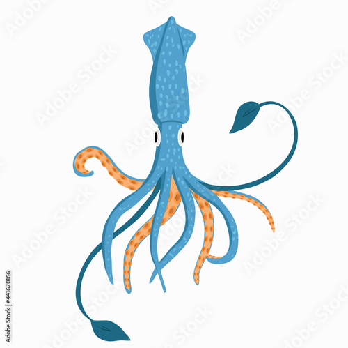 Vector image of squid, isolated on white background