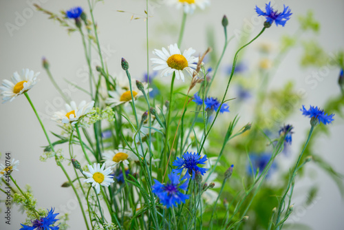 Summer flowers in a vase. White daisies and blue cornflowers in a vase. Midsummer flowers