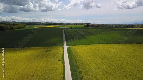 vol en drone en suisse au-dessus d'un champ de colza jaune au soleil en descendant en arrière