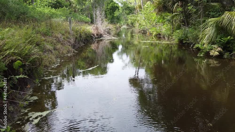 Aerial creek flyover with a drone Aerial creek flyover with a drone
