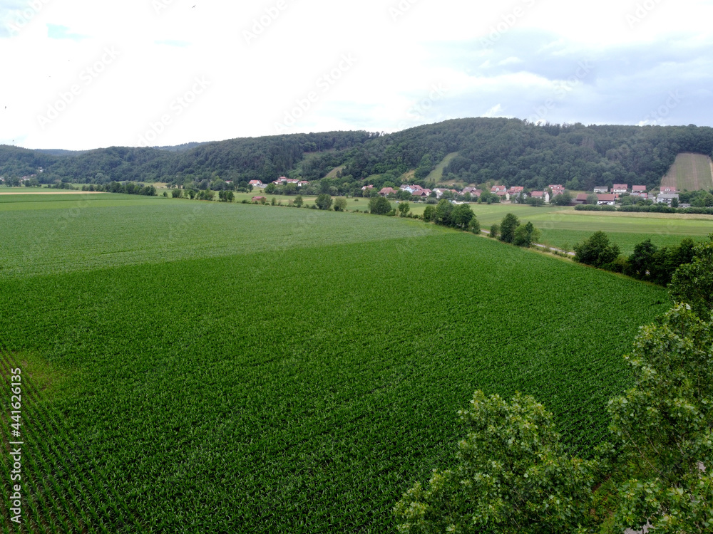 Aerial view of an agricultural field with grain planted in spring in Bavaria