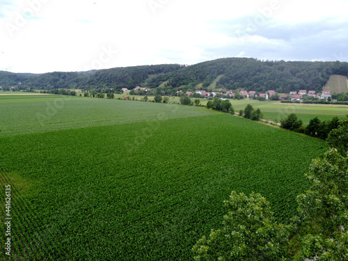 Aerial view of an agricultural field with grain planted in spring in Bavaria