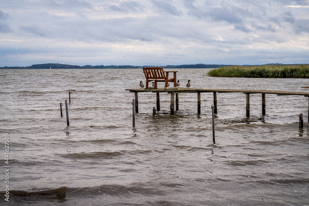 A wooden pier with a bench on the coast of the Krumminer Wiek in Neeberg, Mecklenburg-Western Pomerania, Germany