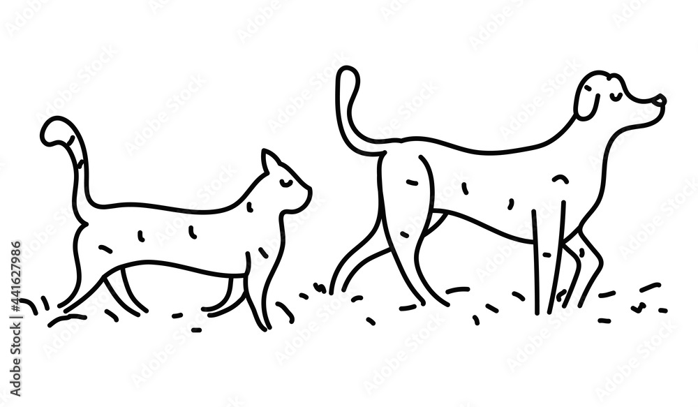 Cat and dog walking