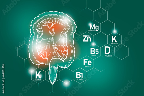 Essential nutrients for Intestine health including Kalium, Ferrum, Magnesium, Vitamin D. Design set of main human organs with molecular grid, micronutrients and vitamins on deep green background.