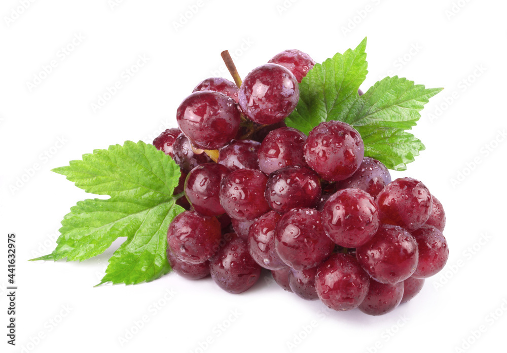 Fototapeta premium Bunch of ripe sweet red grapes in water drops Isolated on white background. Fresh berry fruits.