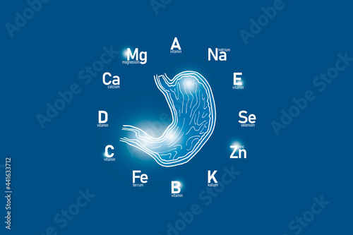 Stylized clockface with essential vitamins and microelements for human health, hand drawn human Stomach, dark blue background. 
Detox of main organs and healthcare concept design mockup. photo