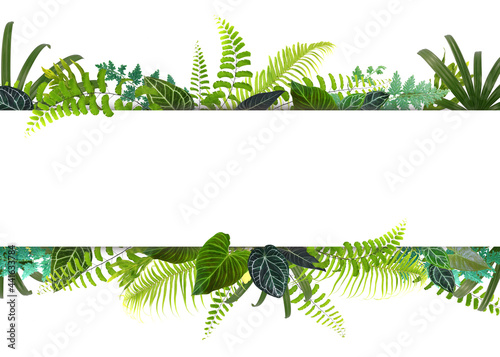 Banner with green tropical leaves. Green leaves frame template.