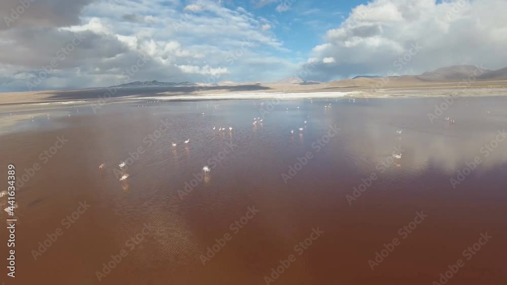 Pink flamingoes in Lake Hedionda in the high plains of Bolivia with Andean mountains (aerial view)