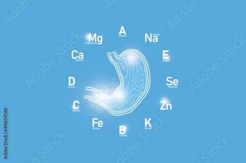 Stylized clockface with essential vitamins and microelements for human health, hand drawn human Stomach, light blue background. 
Detox of main organs and healthcare concept design mockup. photo