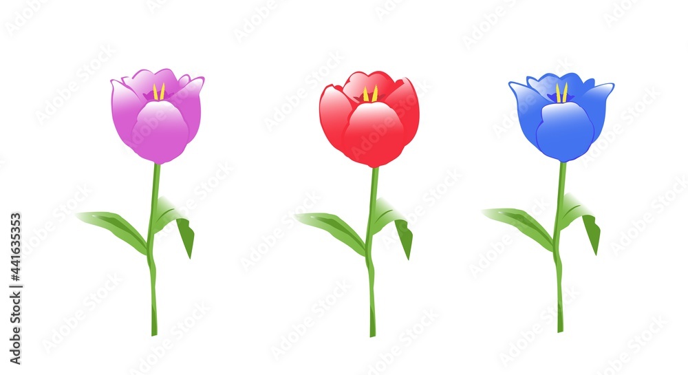 A set of flowers for stickers, labels, gift paper.