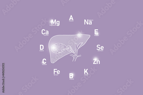 Stylized clockface with essential vitamins and microelements for human health, hand drawn human Gall Bladder, lilac background. 
Detox of main organs and healthcare concept design mockup. photo