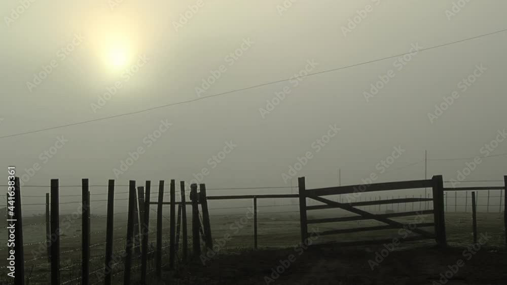 A Rural Fence and the Sun Trying to Pierce the Fog that Covers the Countryside. A Rural Fence and the Sun Trying to Pierce the Fog that Covers the Countryside.