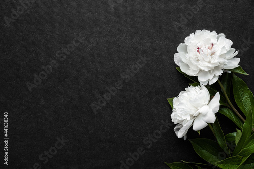 Two fresh white peony flowers on dark table background. Condolence card. Empty place for emotional, sentimental text, quote or sayings. Closeup. Top down view.