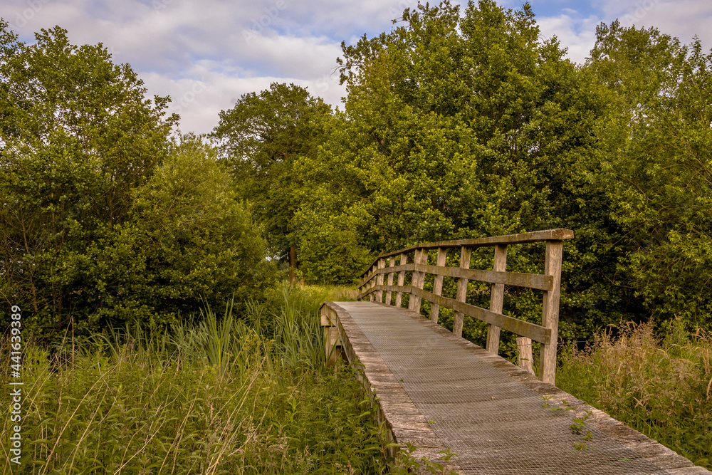 Bridge on walking track in green grassland river valley