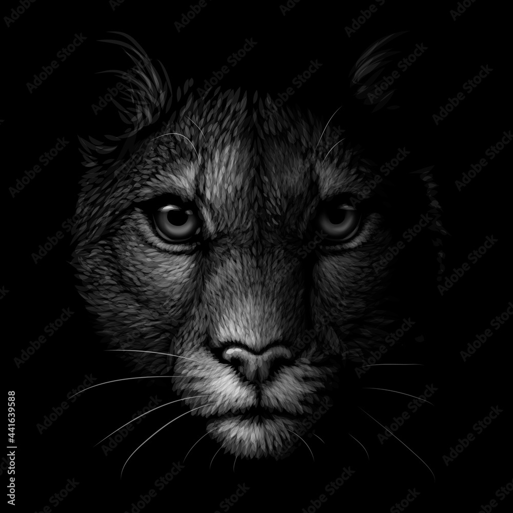 Obraz premium Cougar. Monochrome portrait of a mountain lion on a black background. Digital vector graphics.