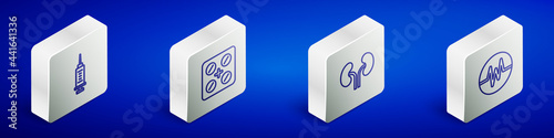 Set Isometric line Syringe, Pills blister pack, Human kidneys and Heart rate icon. Vector