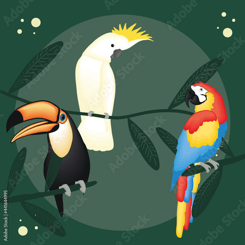 Cute brids cartoons