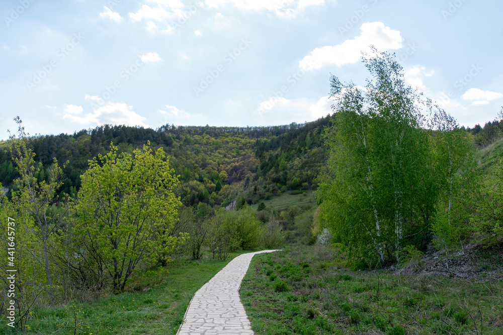 Hiking trail in the national park. Hiking trail in the national park.