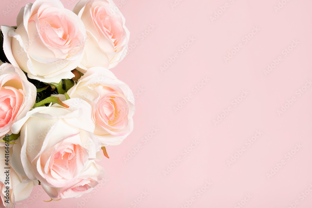 PINK ROSES PINK BACKGROUND